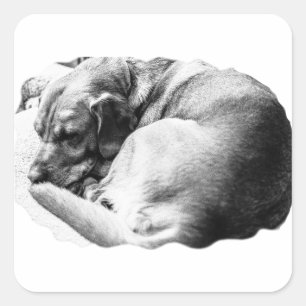 Sweet Slumber Quadratischer Aufkleber