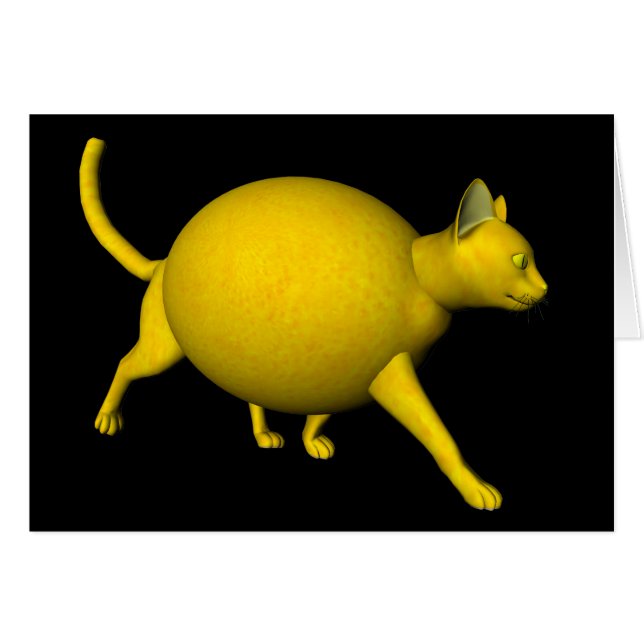 Sweet-Sour-Lemon-Katze (Vorderseite (Horizontal))