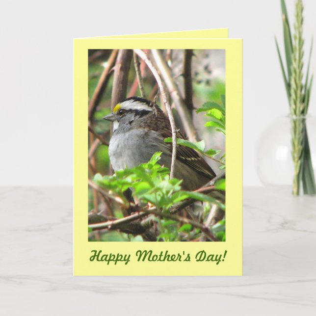 Sweet Sparrow zum Muttertag Karte (Vorderseite)