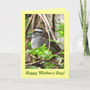 Sweet Sparrow zum Muttertag Karte