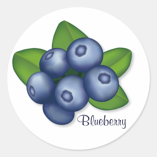 Sweet Summer Blueberry Frucht Runder Aufkleber (Vorderseite)