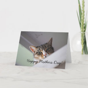 Sweet Tabby Cat Happy Mothers Day Card Karte