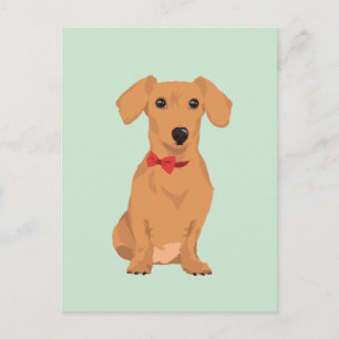 Sweet Tan Dachsund mit Neck Ribbon für Hundefreund Postkarte