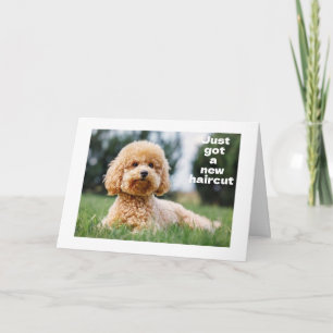 SWEET TEDDY BEAR sagt "GLÜCKLICH "60. BIRTHDAY" Karte