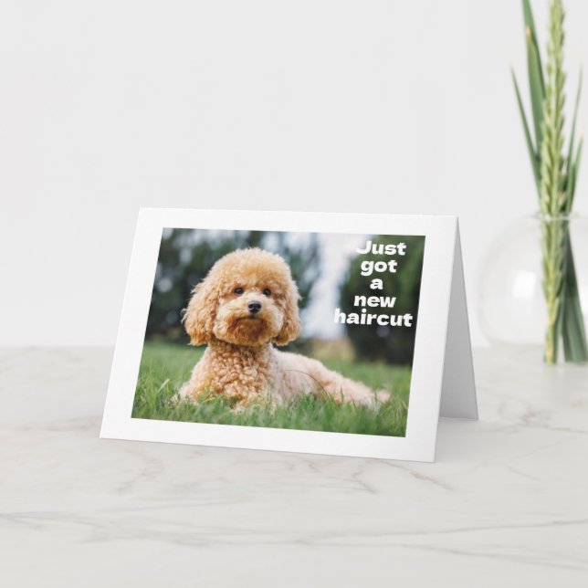 SWEET TEDDY BEAR sagt "GLÜCKLICH "60. BIRTHDAY" Karte (Vorderseite)