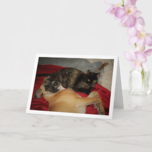 Sweet Tortoiseshell Kitten mit Puppy Karte