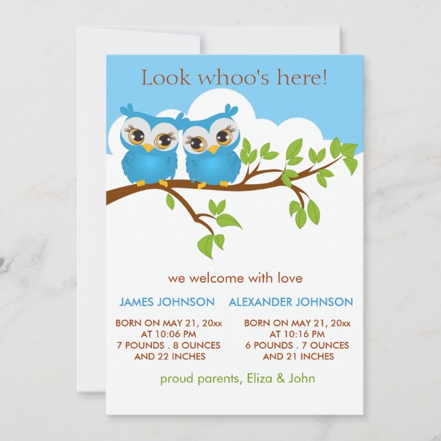 Sweet Twins Owls Baby Boy Birth Announccard Ankündigung (Vorderseite)