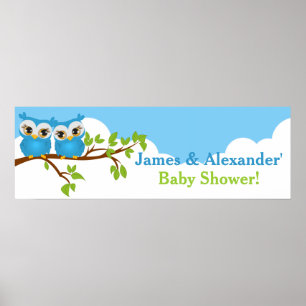 Sweet Twins Owls Boy Baby Showbanner Poster