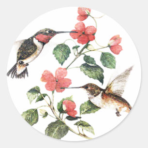 Sweet Vintag Floral Hummingbirds Pair Runder Aufkleber