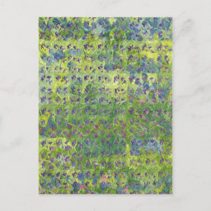 Sweet Violets 2012 Postkarte