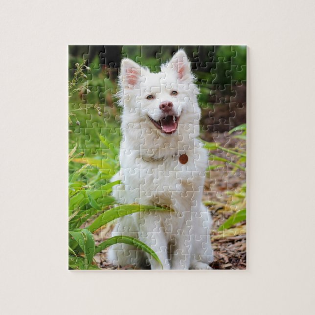 Sweet White Lapp Hund Hund Green Background Foto Puzzle (Vertikal)