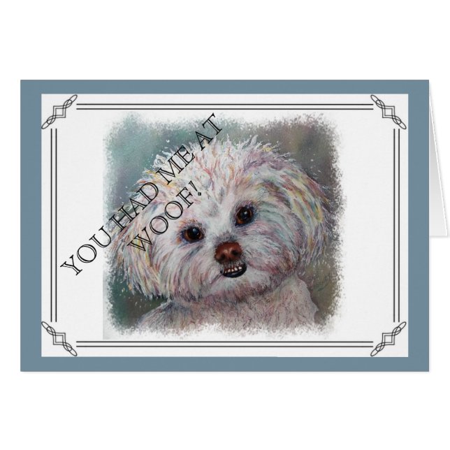SWEET WHITE MALTESE YORKIE MIX (Vorderseite (Horizontal))