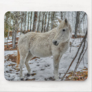 Sweet White Mare and Winter Forest Gift Mousepad