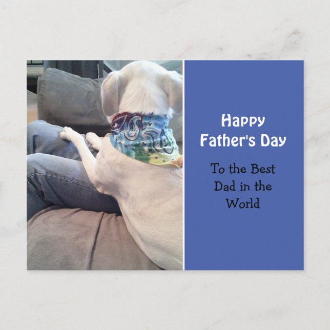 Sweet White Puppy Hund tragen farbenfrohe Scarf Bl Postkarte (Vorderseite)