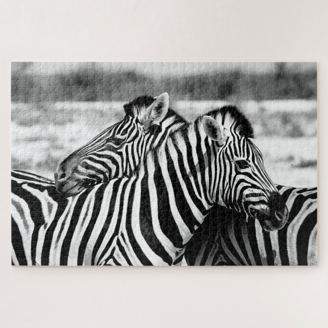 Sweet Zebra Couple schwarz-weiß, Jigsaw Puzzle (Horizontal)