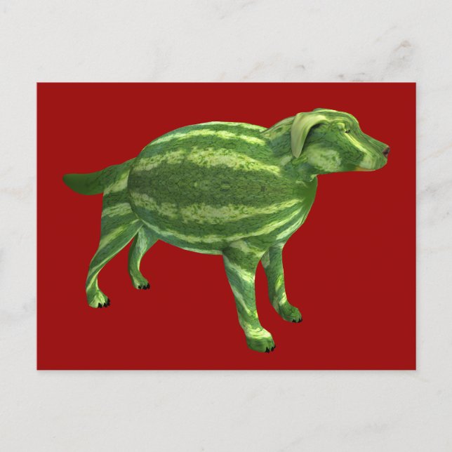 Sweetest Melon Dog Postkarte (Vorderseite)