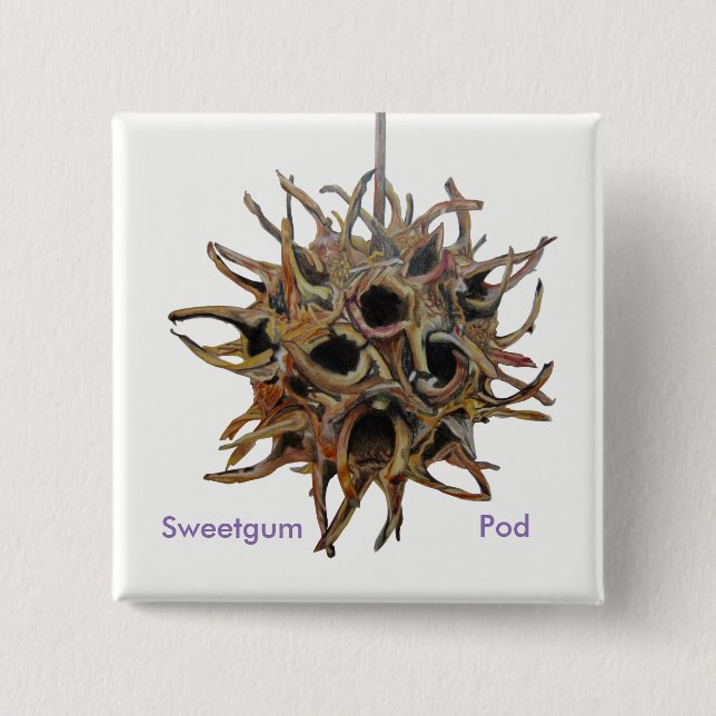 Sweetgum Hülsen-Knopf Button (Vorderseite)