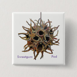 Sweetgum Hülsen-Knopf Button