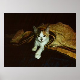 Sweetie as a Kit Poster