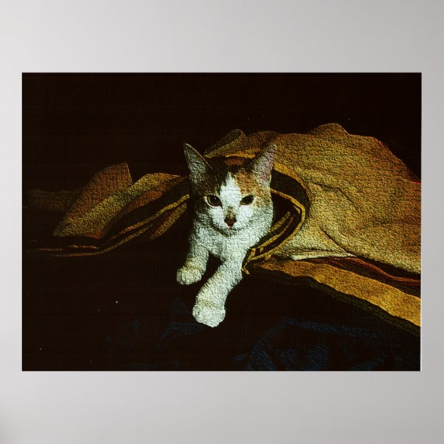 Sweetie as a Kit Poster (Vorne)