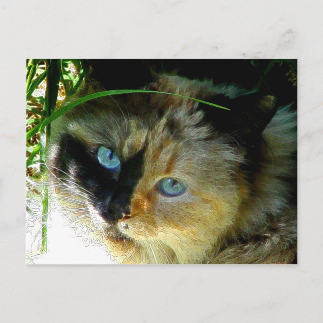 Sweetie Pie Postkarte