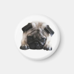 SweetPea Mops-runder Kühlschrankmagnet Magnet