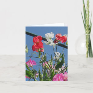 Sweetpeas Anmerkungs-Karte Karte