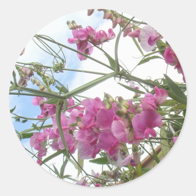 Sweetpec-Aufkleber Runder Aufkleber (Vorderseite)