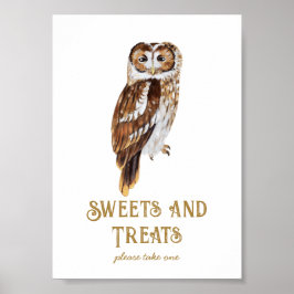 Sweets & Treats Owl Baby Shower Poster
