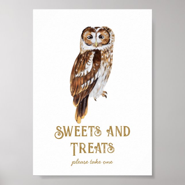 Sweets & Treats Owl Baby Shower  Poster (Vorne)