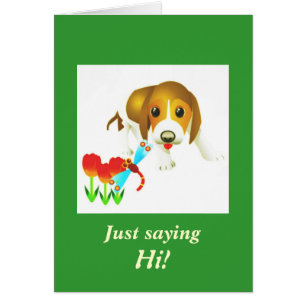 Sweety Hund