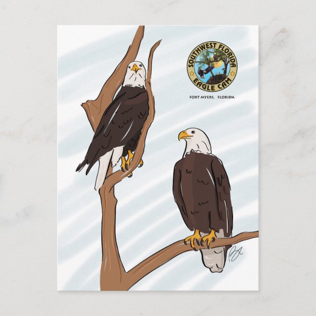 SWFEC Eagle Couple Post Card Postkarte (Vorderseite)