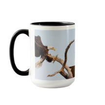 SWFEC erhalten nahe Aktion (die verschiedenen