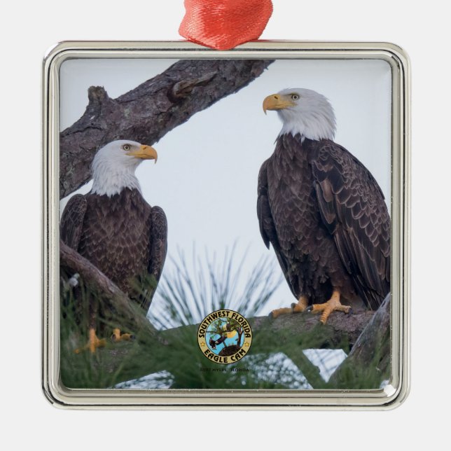 SWFL Eagle Cam Couple Goals Ornament (Vorne)