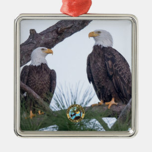 SWFL Eagle Cam Couple Goals Ornament Aus Metall