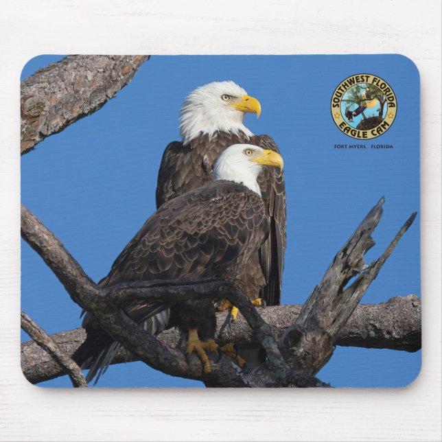 SWFL Eagle Cam Mouse Pad- M15 & F23 Mousepad (Vorne)