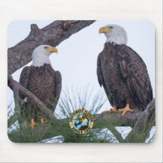 SWFL Eagle Cam Mouse Pad Mousepad
