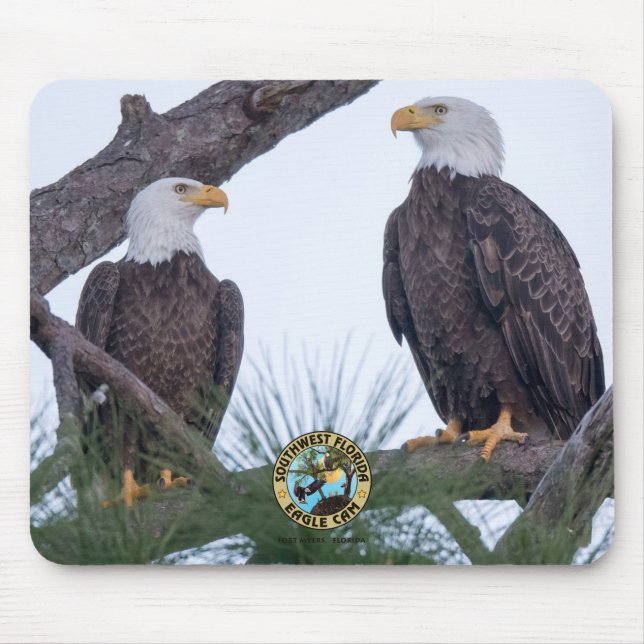 SWFL Eagle Cam Mouse Pad Mousepad (Vorne)