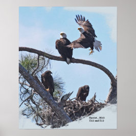 SWFL Family Portrait E12, E13 Harriet und M15 Poster