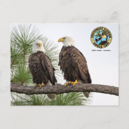 SWFLEagleCam Postkarte