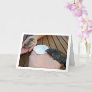 Swift Bird und Sparrow Bird on Hands Karte