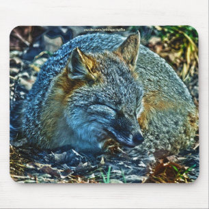 Swift Fox Asleep auf Blätter Wildlife Mousepad