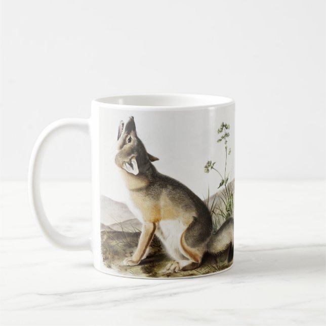 Swift Fox (Vulpes velox) Illustration Kaffeetasse (Links)