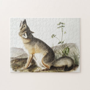 Swift Fox (Vulpes velox) Illustration Puzzle