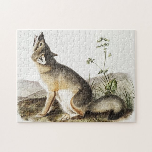 Swift Fox (Vulpes velox) Illustration Puzzle (Horizontal)