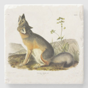 Swift Fox (Vulpes Velox) von Audubon Quadrupeds Steinuntersetzer