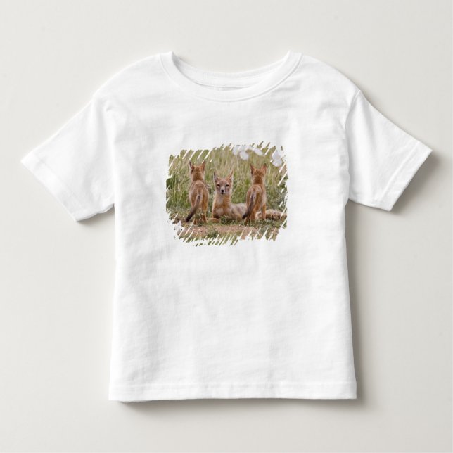 Swift Fox (Vulpes velox) weiblich mit jung bei Kleinkind T-shirt (Vorderseite)