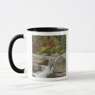 Swift River, der durch Felsen zieht Tasse