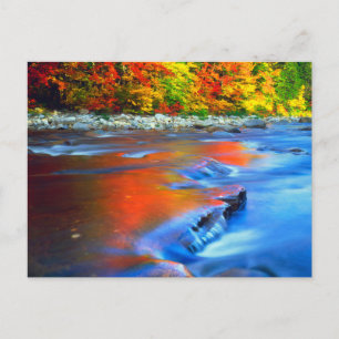 Swift River mit herbstlichen Farben Postkarte