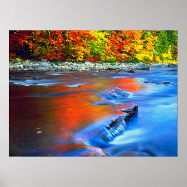 Swift River reflektiert Herbstfarben Poster (Vorne)